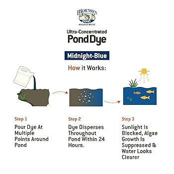 PondとDawn (専用ページ) Amazon.com : CNZ® ALL IN ONE Pond Filter System with 13W